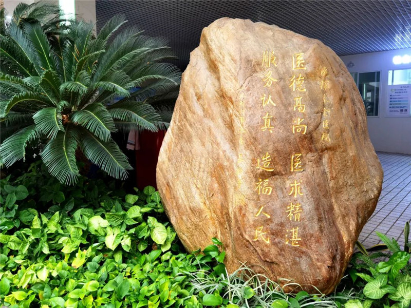 02.jpg